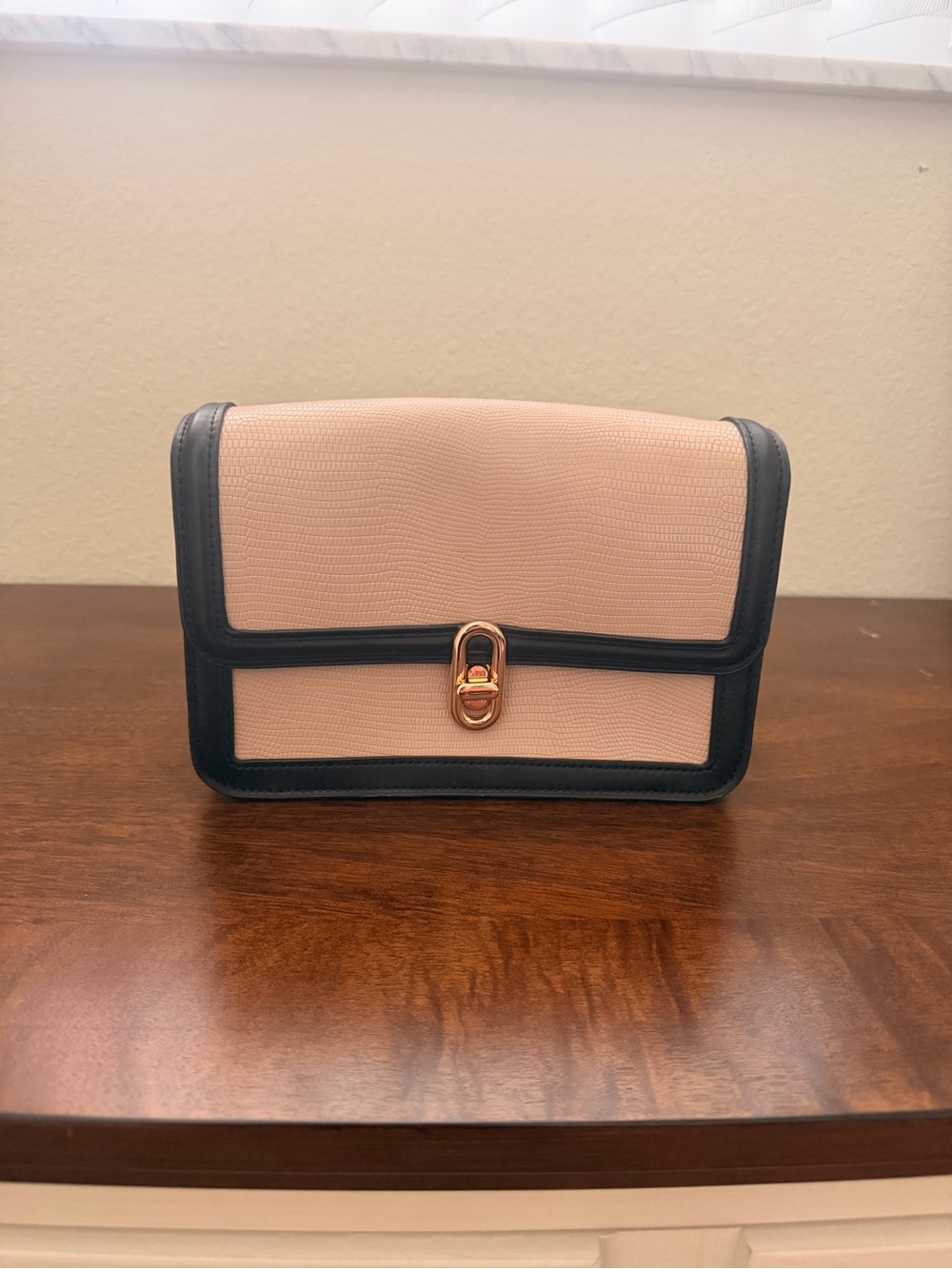 Two-Tone Blush and Black Crossbody Bag with Gold Clasp